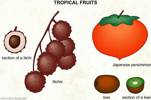 Tropical fruits (3)