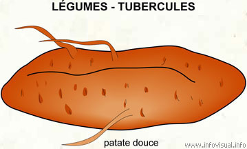 Légume - tubercules