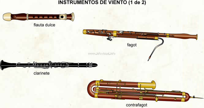 Artista Fuera de viuda Instrumentos de viento - El Diccionario Visual