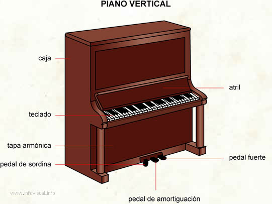 Marchito cuenca Antecedente Piano vertical - El Diccionario Visual