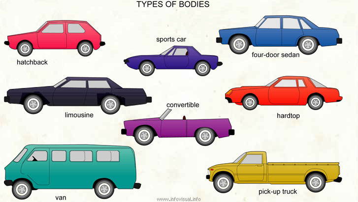 Types Of Bodies Visual Dictionary