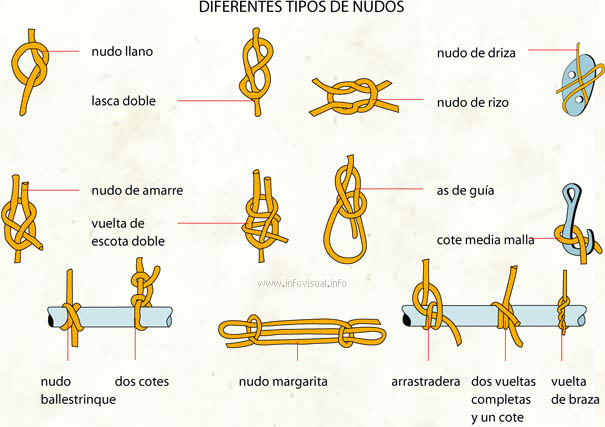 Nudos - El Diccionario Visual