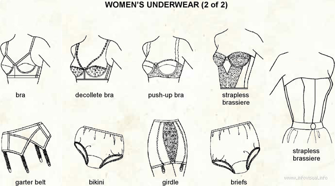 Women's underwear - Visual Dictionary