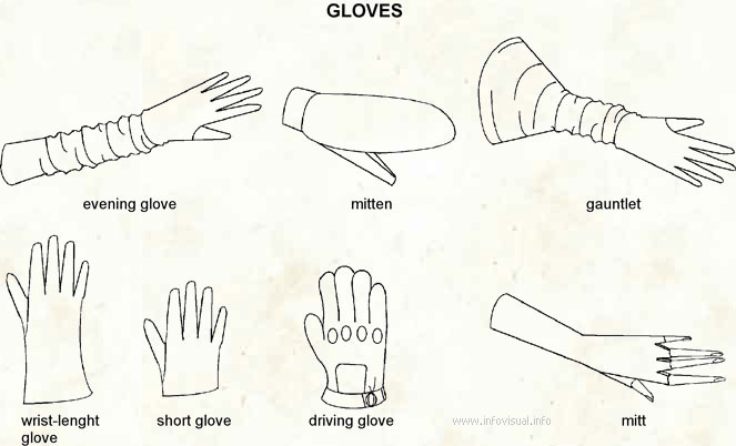 Glove - Visual Dictionary