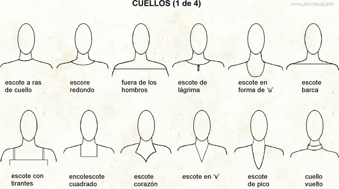 Disponible Cinco administración Cuellos - El Diccionario Visual