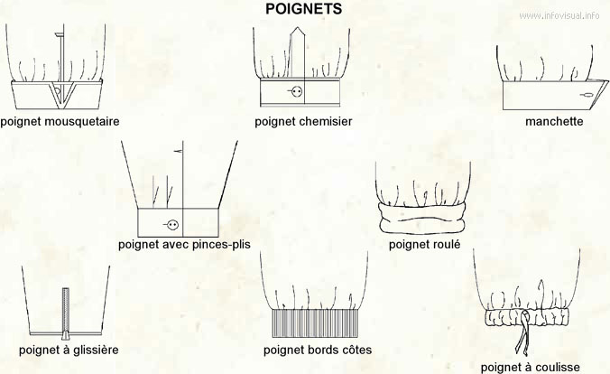 Poignet - Dictionnaire Visuel